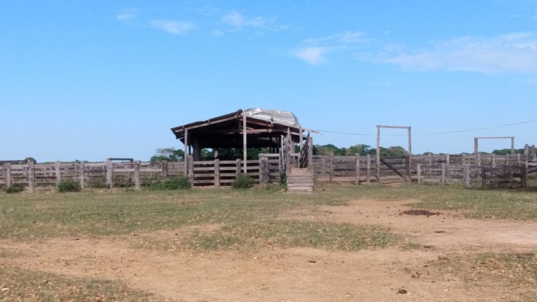 FAZENDA DE 87.500 HA NO PANTANAL