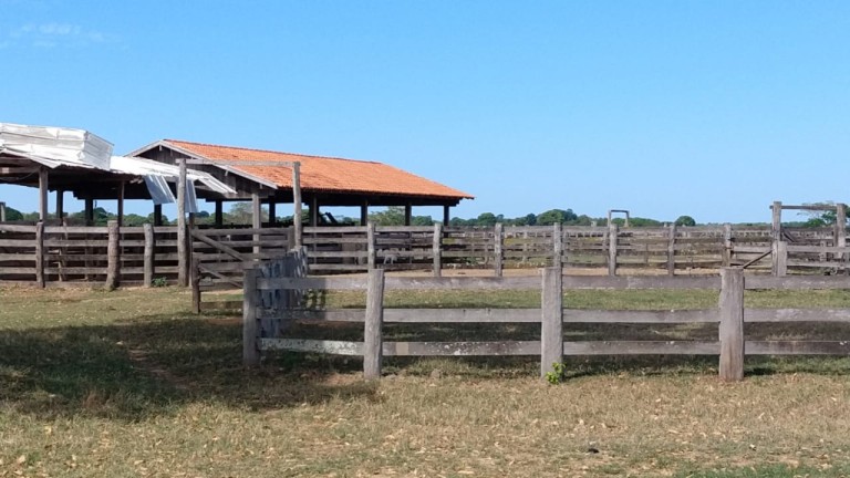 FAZENDA DE 87.500 HA NO PANTANAL