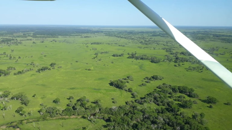 FAZENDA DE 87.500 HA NO PANTANAL