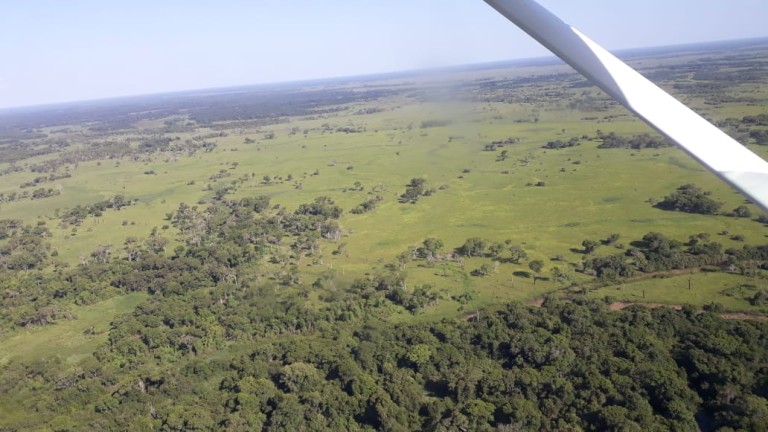 FAZENDA DE 87.500 HA NO PANTANAL