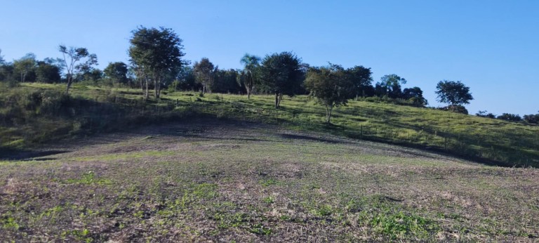 PROPRIEDADE DE 57 HA NO RS