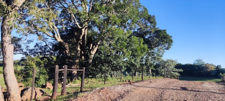 PROPRIEDADE DE 57 HA NO RS