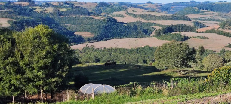 PROPRIEDADE DE 57 HA NO RS