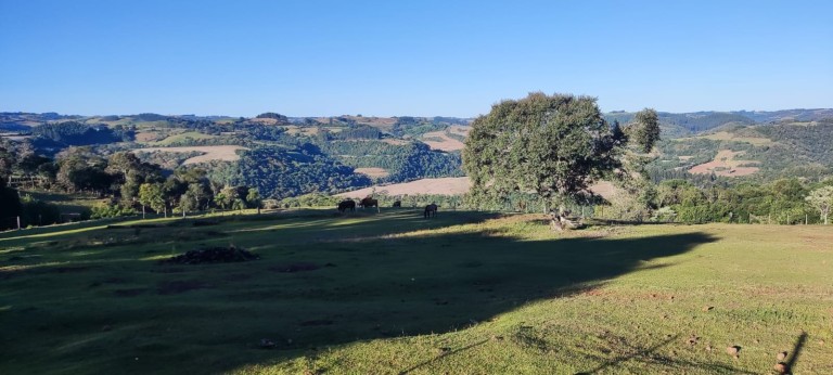 PROPRIEDADE DE 57 HA NO RS