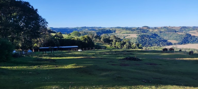 PROPRIEDADE DE 57 HA NO RS