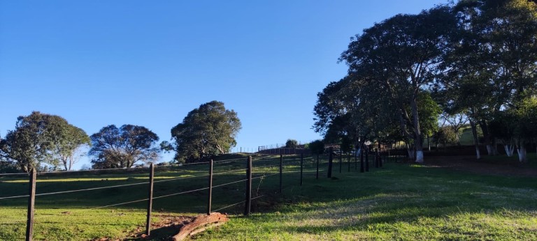 PROPRIEDADE DE 57 HA NO RS