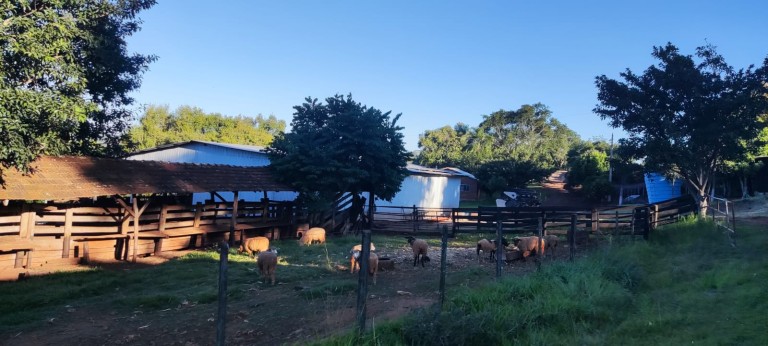 PROPRIEDADE DE 57 HA NO RS
