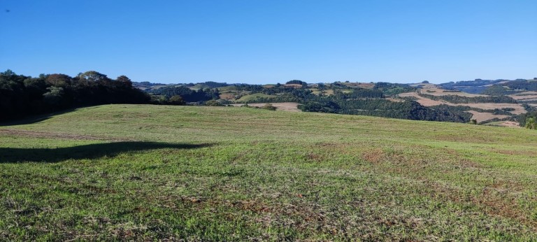 PROPRIEDADE DE 57 HA NO RS