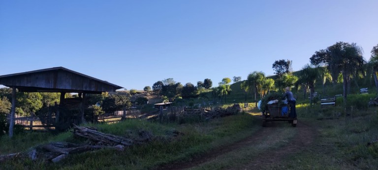 PROPRIEDADE DE 57 HA NO RS