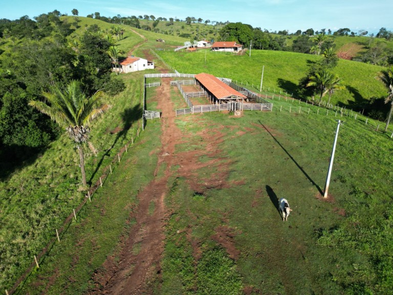 FAZENDA DE 200 ALQUEIRES COM 12 ANOS PARA PAGAR