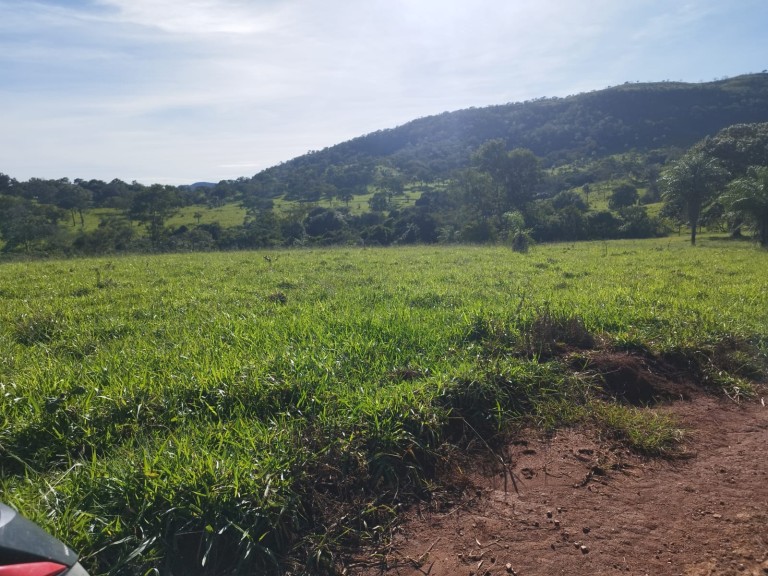 FAZENDA DE 200 ALQUEIRES COM 12 ANOS PARA PAGAR