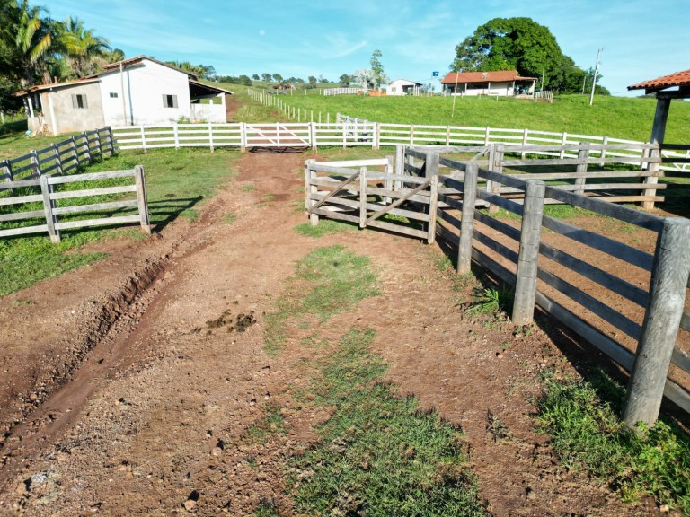 FAZENDA DE 200 ALQUEIRES COM 12 ANOS PARA PAGAR