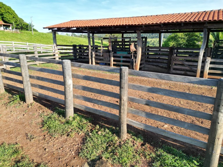 FAZENDA DE 200 ALQUEIRES COM 12 ANOS PARA PAGAR