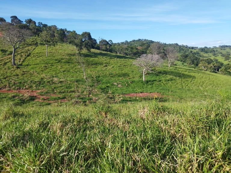 FAZENDA DE 200 ALQUEIRES COM 12 ANOS PARA PAGAR