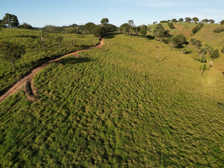 FAZENDA DE 200 ALQUEIRES COM 12 ANOS PARA PAGAR
