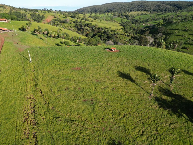 FAZENDA DE 200 ALQUEIRES COM 12 ANOS PARA PAGAR