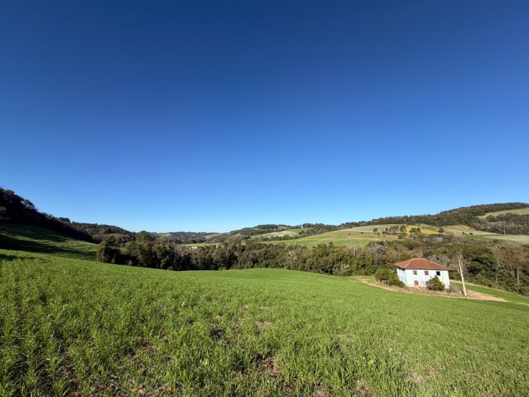 ÁREA DE TERRA DE 10.2 HA EM SAGRADA FAMÍLIA-RS