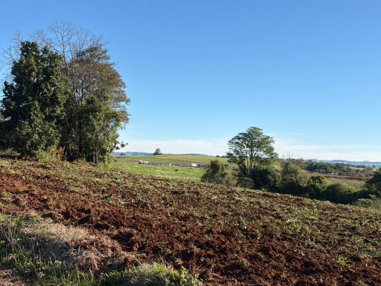 TERRENOS RURAIS EM SÃO JOSÉ DAS MISSÕES-RS