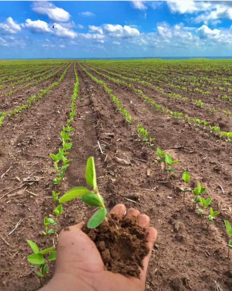 FAZENDA PORTEIRA FECHADA DE 6.647 HA