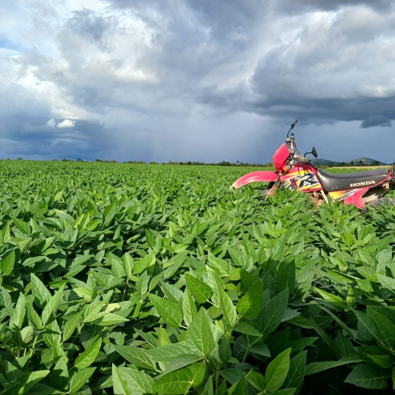 FAZENDA DE 155 HA EM RORAIMA