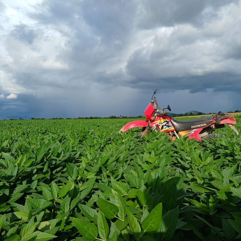 FAZENDA DE 155 HA EM RORAIMA