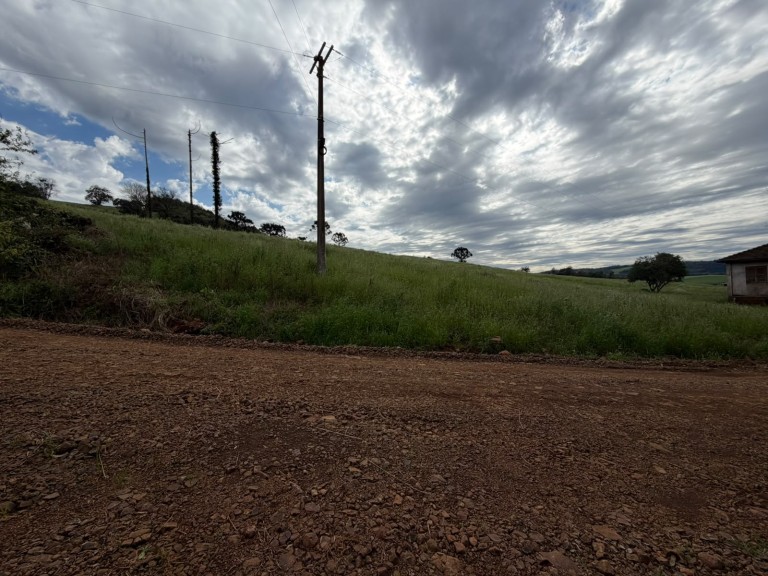 ÁREA DE TERRA DE 15 HA EM CONSTANTINA-RS