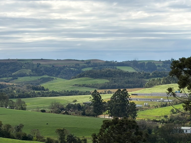 ÁREA DE TERRA DE 15 HA EM CONSTANTINA-RS