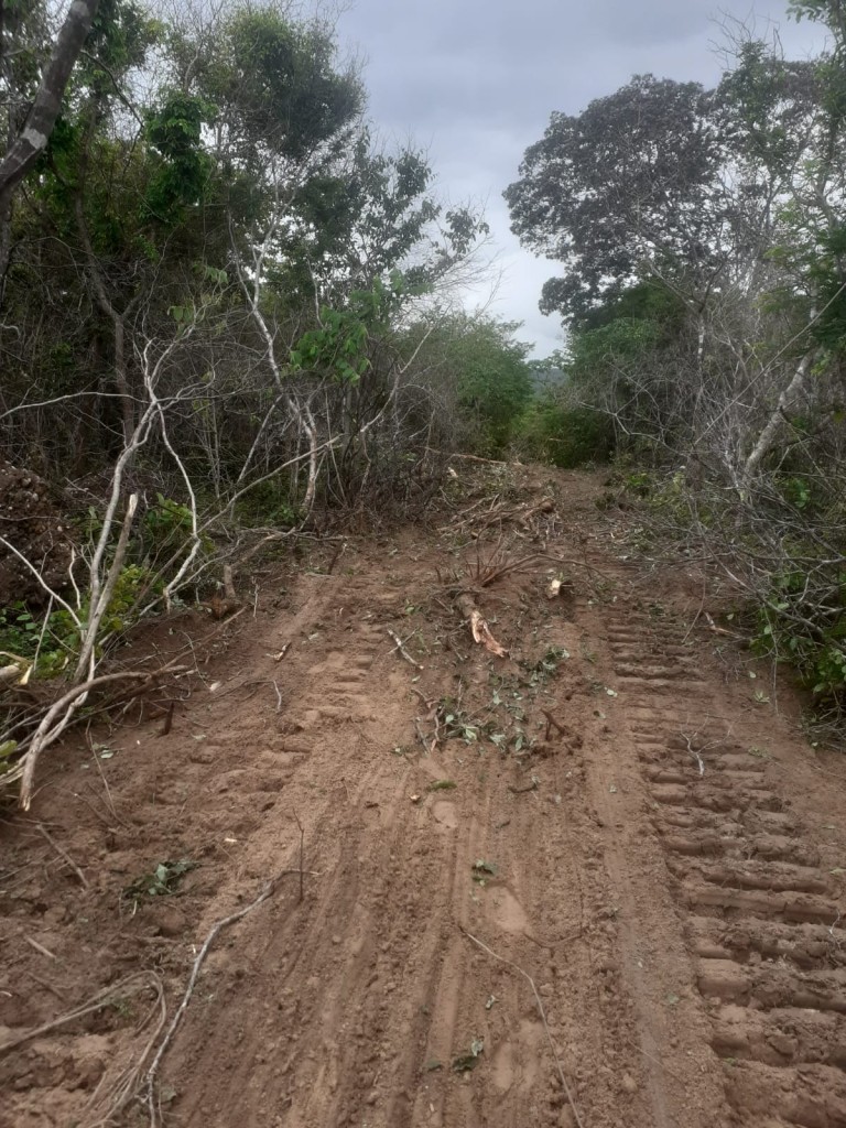 FAZENDA DE 22.000 HA NO PIAUÍ