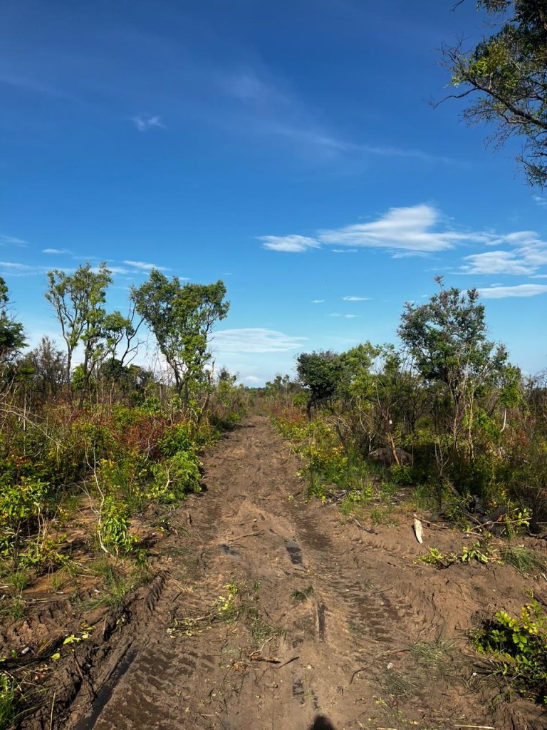 FAZENDA DE 22.000 HA NO PIAUÍ