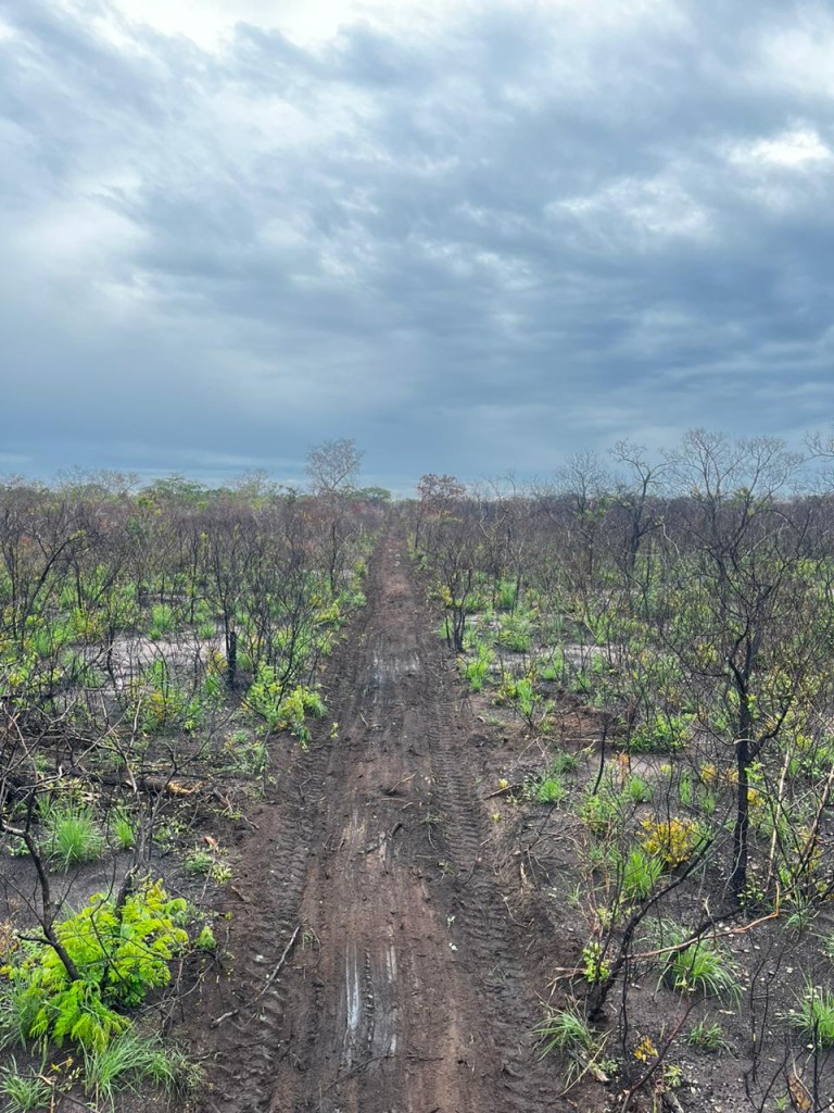 FAZENDA DE 22.000 HA NO PIAUÍ