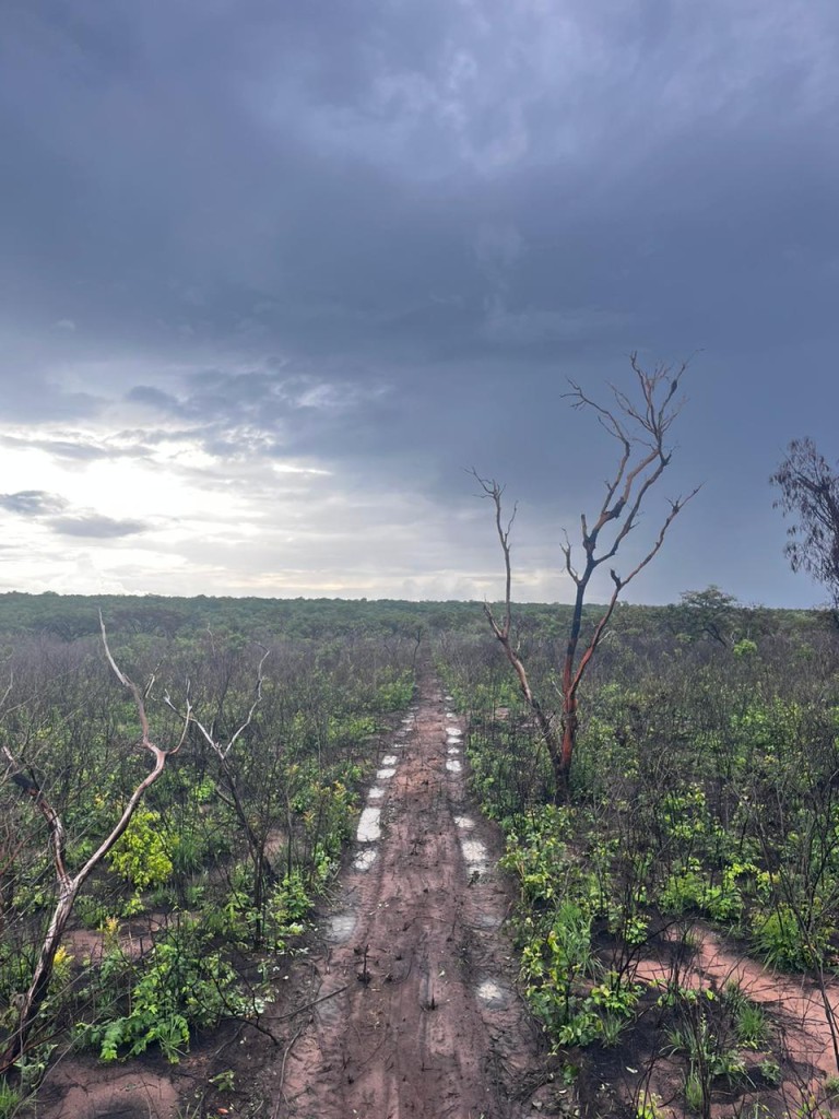 FAZENDA DE 22.000 HA NO PIAUÍ