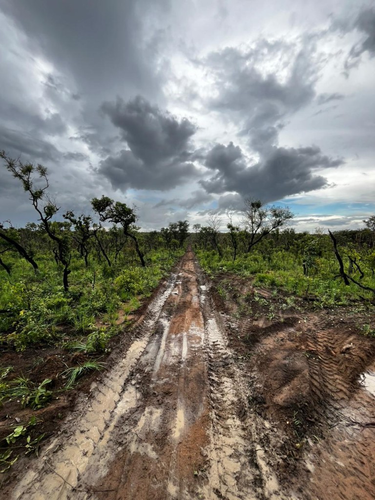 FAZENDA DE 22.000 HA NO PIAUÍ