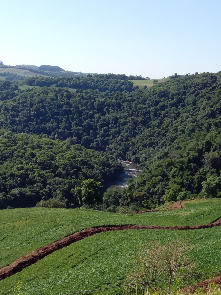 PROPRIEDADE DE 57 HA NO RS