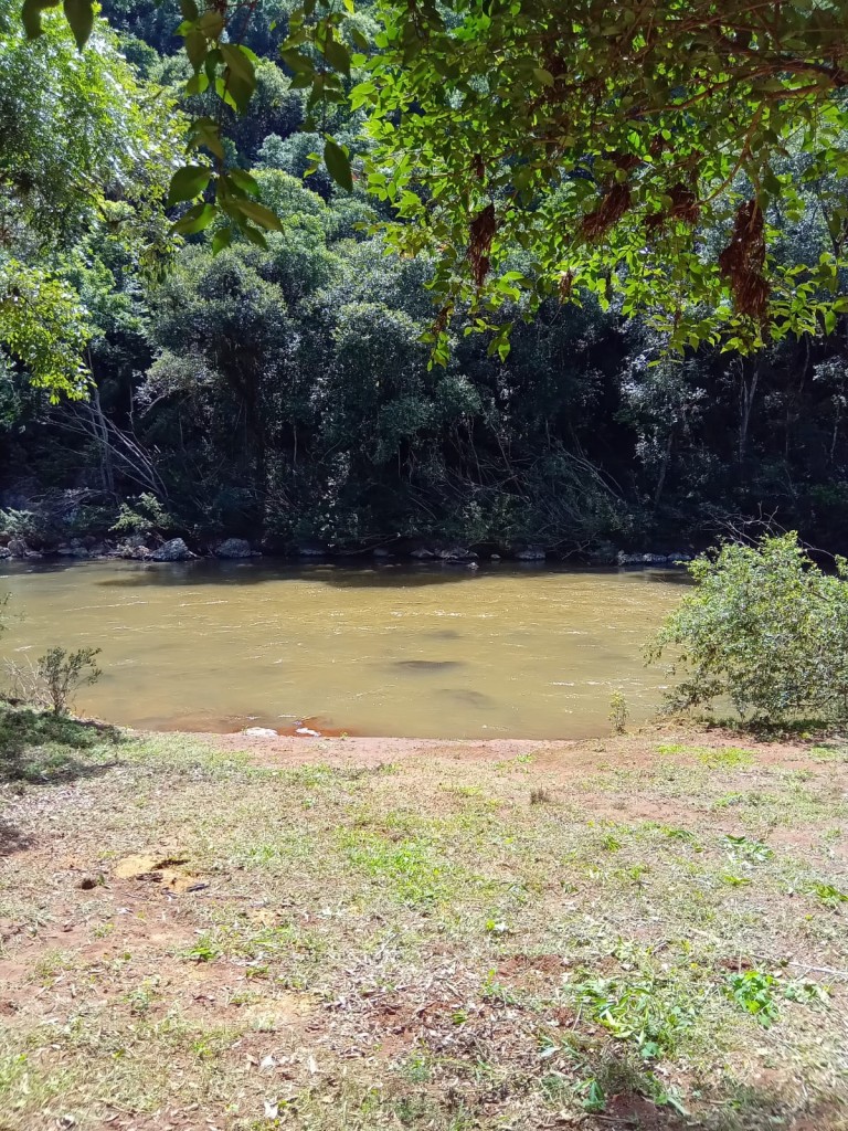 PROPRIEDADE DE 57 HA NO RS