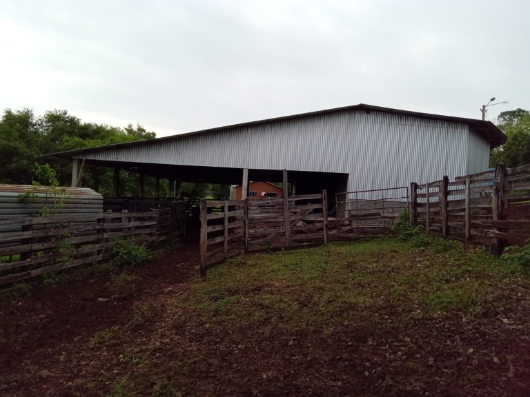 PROPRIEDADE DE 57 HA NO RS