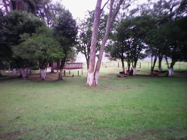 PROPRIEDADE DE 57 HA NO RS