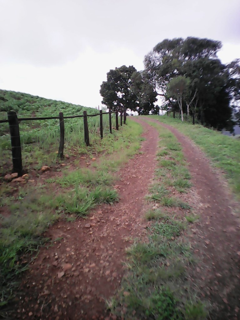 PROPRIEDADE DE 57 HA NO RS