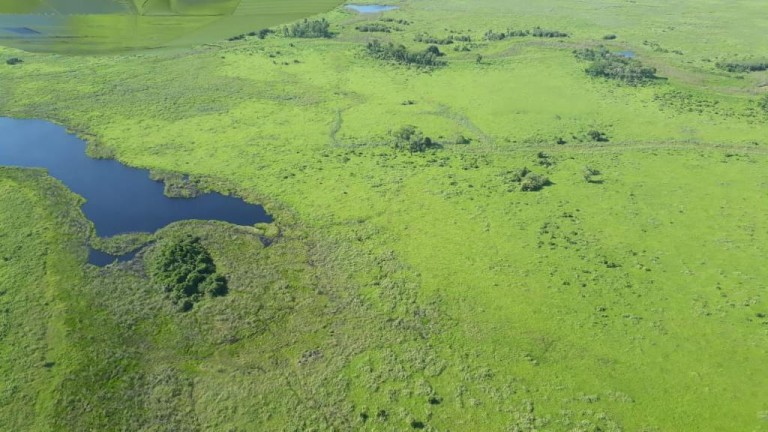 FAZENDA DE 87.500 HA NO PANTANAL