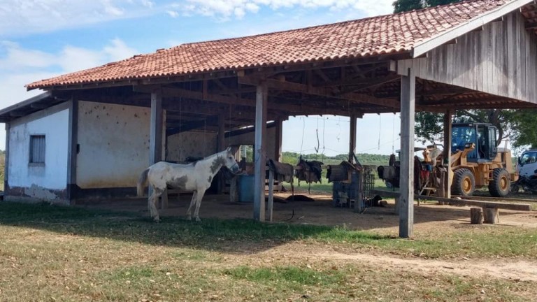 FAZENDA DE 87.500 HA NO PANTANAL