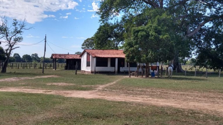 FAZENDA DE 87.500 HA NO PANTANAL
