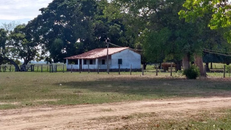 FAZENDA DE 87.500 HA NO PANTANAL