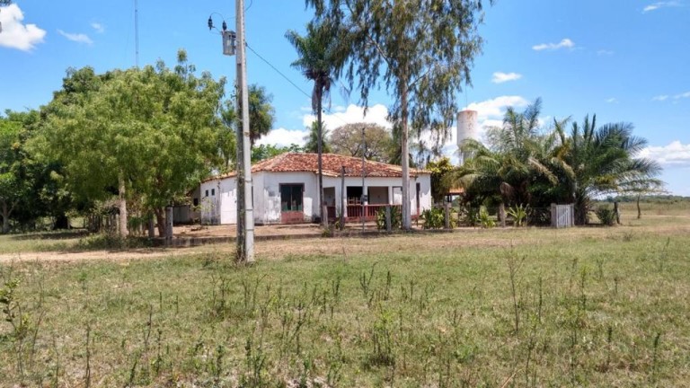 FAZENDA DE 87.500 HA NO PANTANAL