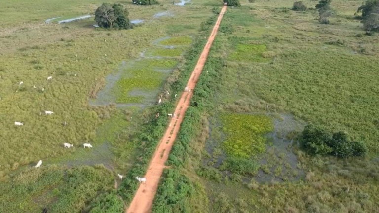 FAZENDA DE 87.500 HA NO PANTANAL