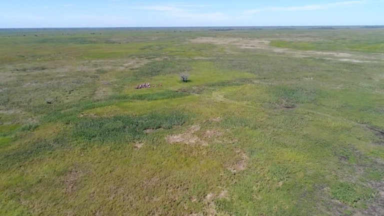 FAZENDA DE 87.500 HA NO PANTANAL