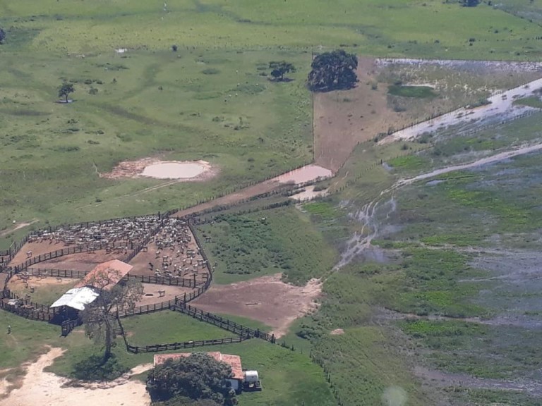 FAZENDA DE 87.500 HA NO PANTANAL