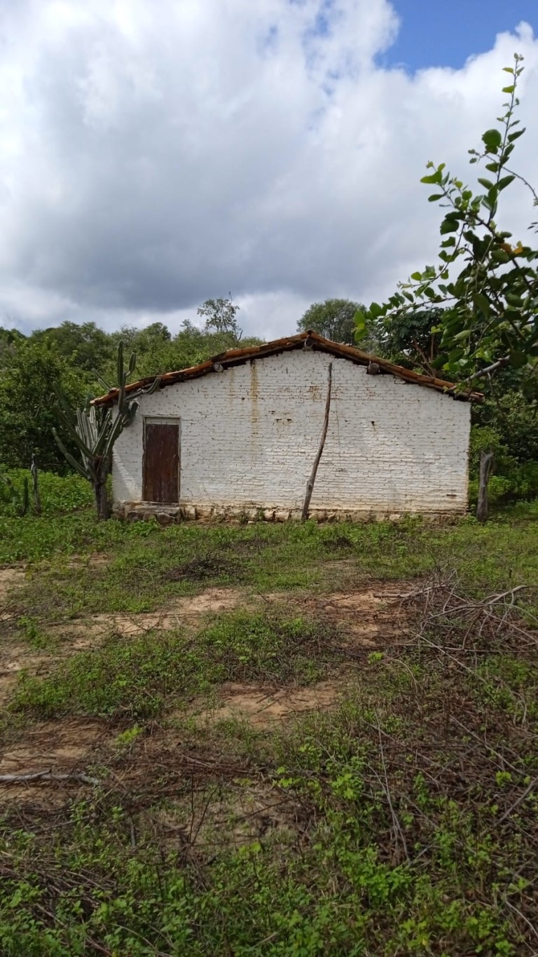 FAZENDA DE 70 HA POR R$ 1.000.000,00