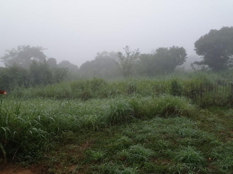 FAZENDA DE 70 HA POR R$ 1.000.000,00