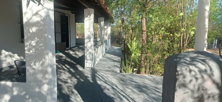FAZENDA DE 70 HA POR R$ 1.000.000,00