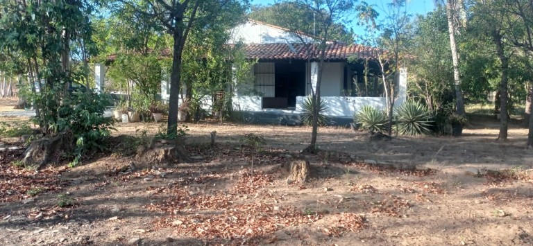 FAZENDA DE 70 HA POR R$ 1.000.000,00