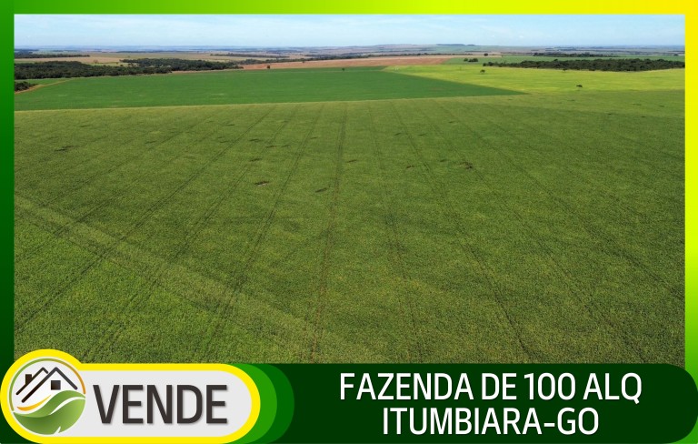 FAZENDA DE 100 ALQUEIRES EM GOIÁS